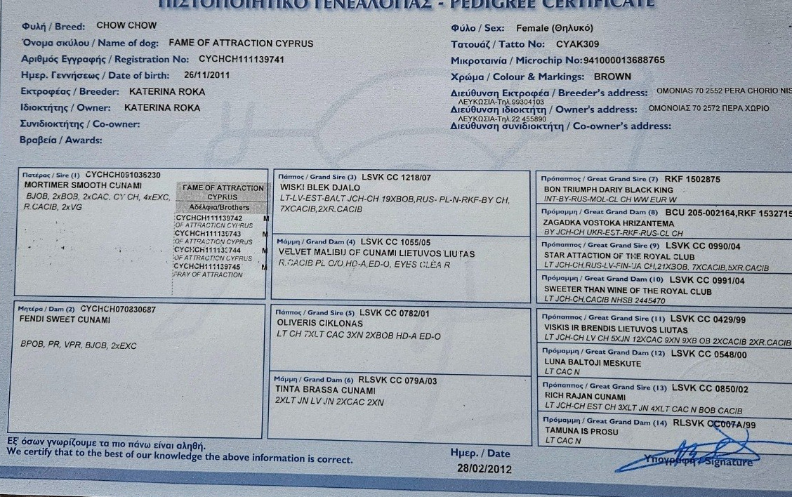 Pedigree of Fame of Attraction Cyprus