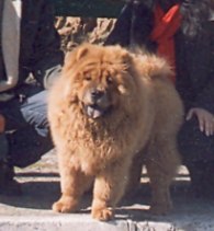Authentic photograph of Lee Jeen